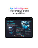 iPad Air 11'' (M4) Gris sidéral